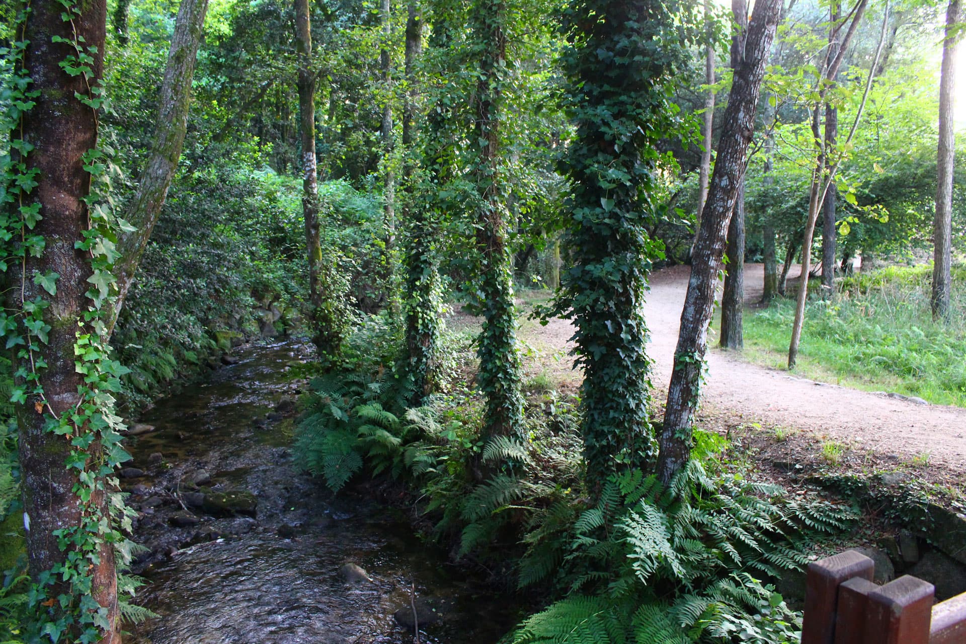 Ruta da Pedra e da Auga