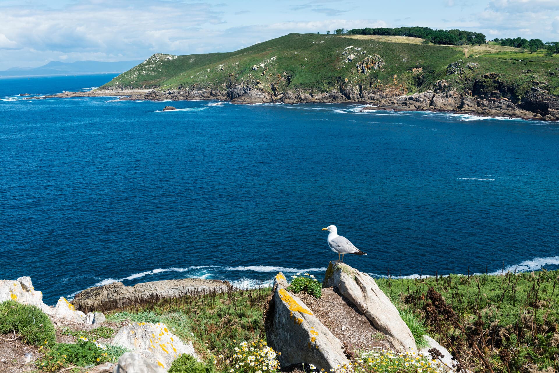 Isla de Ons