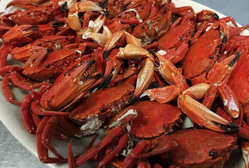 Mariscadas