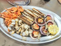 Marisco, pescado o carne, ¿qué te gusta más?